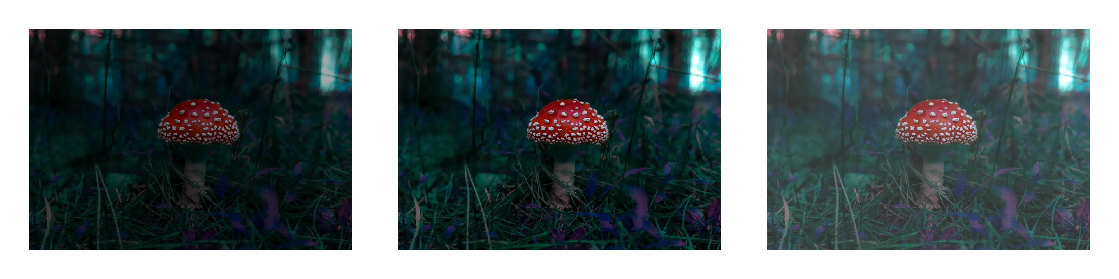 Example Image of Brightness Tool