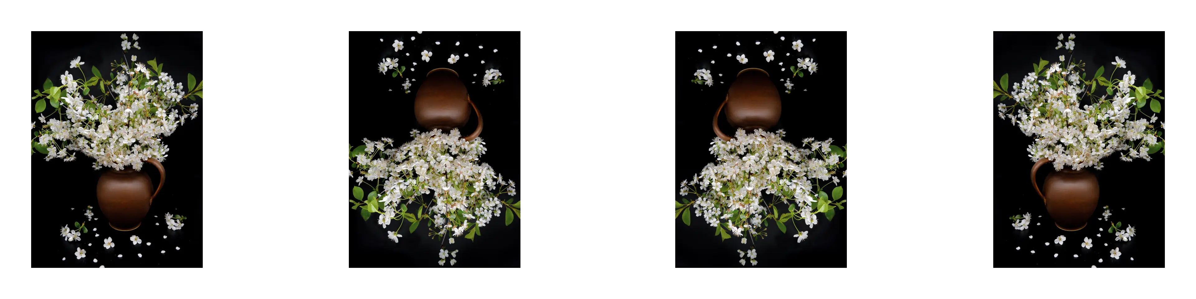 Example Image of Mirror Filter Tool